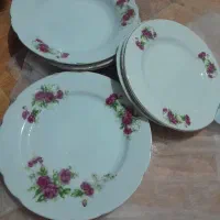 این بشقاب گل سرخی