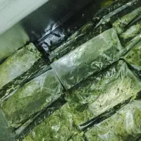 سبزی