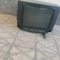 تلوزیون