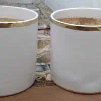 گلدون