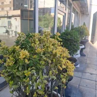 دستگاه ساخت درب و پنجره upvs