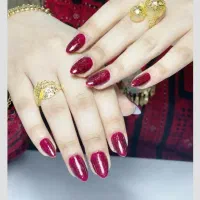 کرم شب گیاهی اماراتی اصل