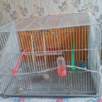 قفس بزرگ 60 در 40 سالم نو