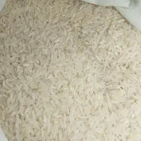 برنج طارم فجر  خوش پخت