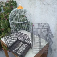 قفس پرنده