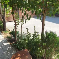 زیرکارچی و رنگکار چوب و ام دی اف