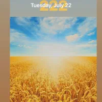 فروش سیم دایمی رند