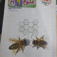 کتاب علوم تیزهوشان نهم (خیلی سبز)