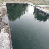 زغال