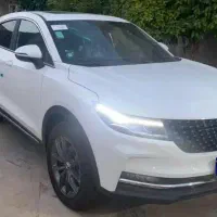 دیگینیتی پرایم داخل مشکی(صفر وخشک)
