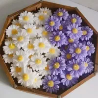 شمع بابونه به مدت سه روز فقط 8500