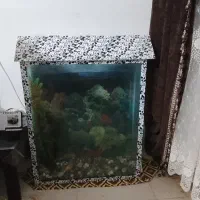 خوب