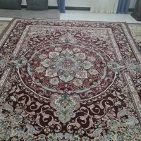 روفررشی در حد نو۱۲متری زرشکی
