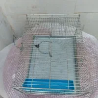 آبچکان|آبچکان و نظمدهنده ظروف|خرمآباد, |دیوار