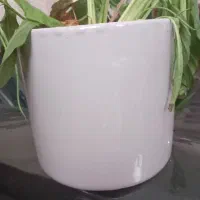 گلدان