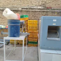 لوازم مرغ فروشی