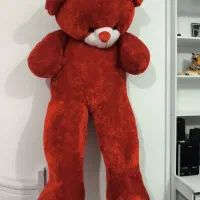 فروش خرس