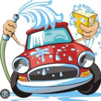 نیروی کار برای کارواش