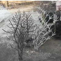 شاخ گوزنی ارتفاع ۹۰