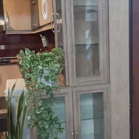 شلف وقفسه کابیتنی