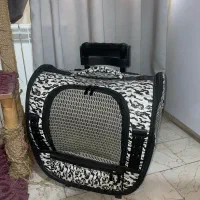 باکس حمل حیوانات