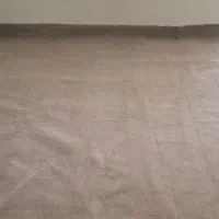 فروش پالاز موکت