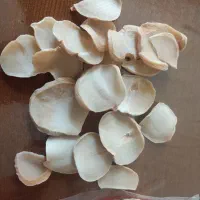 موسیر همدان درجه یک ،کیفیت تضمینی