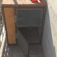 گنجه کبوتر