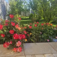 باغ-منشیان