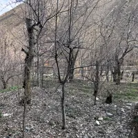 زمین در روستای تالون حومه امام زاده داود|فروش زمین و ملک کلنگی|تهران, کن|دیوار