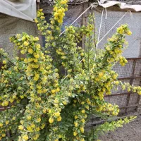 طراحی عکس برای شما