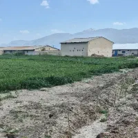 یونجه درجه یک