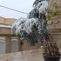خانه-ویلایی-150متری