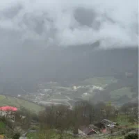 هم-خونه