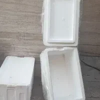 اکاسیو بزرگ و‌متوسط