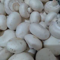 کارگر ساده
