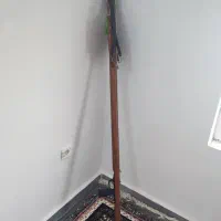 تفنگ غواصی