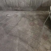 پارک با لانه سگ و گربه
