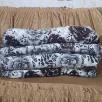 پتومسافرتی