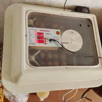 دستگاه جوجه کشی تمام اتومات