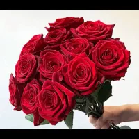 نصب‌وتنظیم‌.آنتن