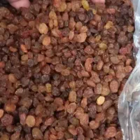 نباز ب یک کارگر جوان