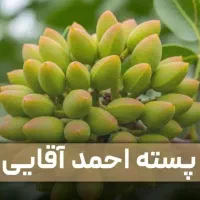 عرضه و فروش نهـال روز کشور