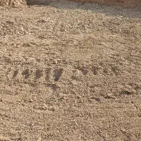 زمین-520متری-وحدت-ها-قلعه-تل