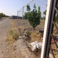 فنس باغی