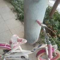 دوچرخه سایز۱۶تایوانی درفولادشهد