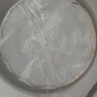 ظروف غذا خوری چینی زرین ایران