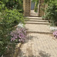 فروش باغچه مثمر در لوکیشن بسیار خوب