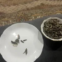 نیازمنده نظافطچی