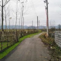 520 متر زمین سند دار نزدیک به دریا